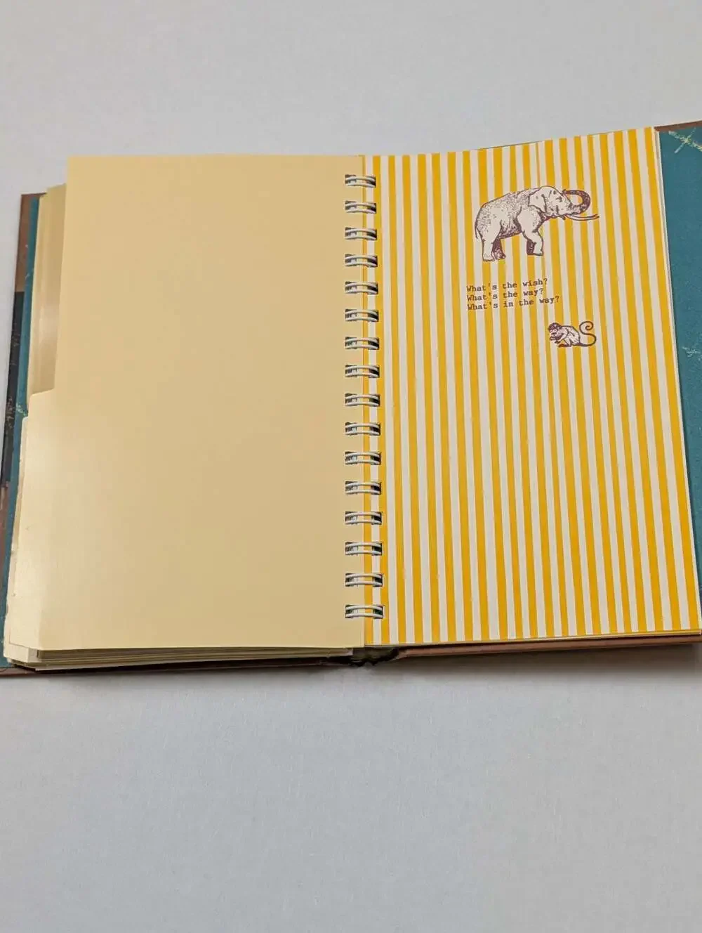 A Wish Book by Stacie Chaiken and Alexis Genya Spiral-Bound Journal